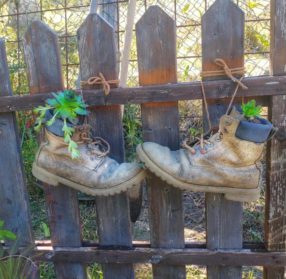 ピエガーロ La Fonte Di Gaicheゲストハウス エクステリア 写真